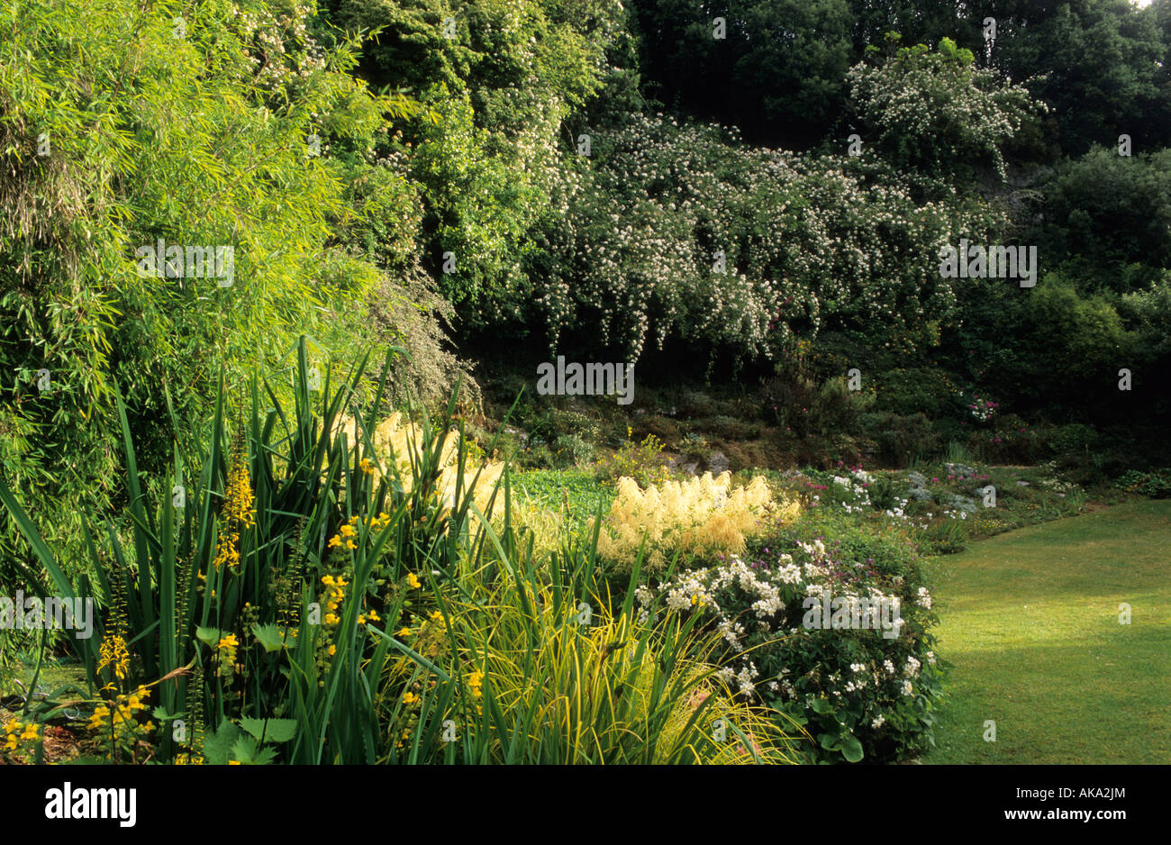 Highdown Sussex steeply sloping site historic garden in old chalk pit