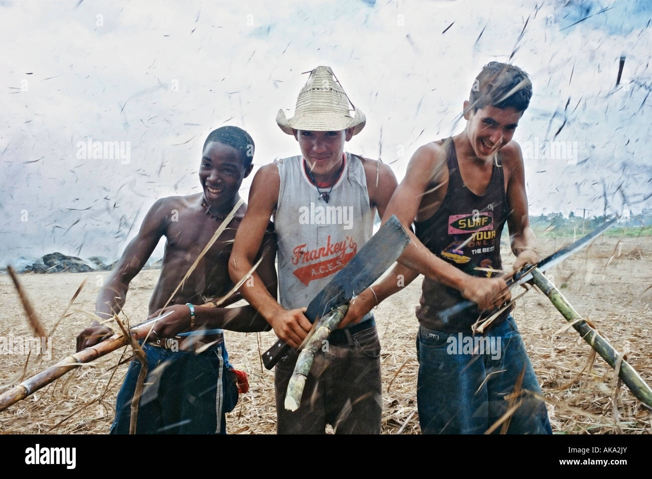 Three young workers at a sugar mill in Julio Reyes, Province of ...