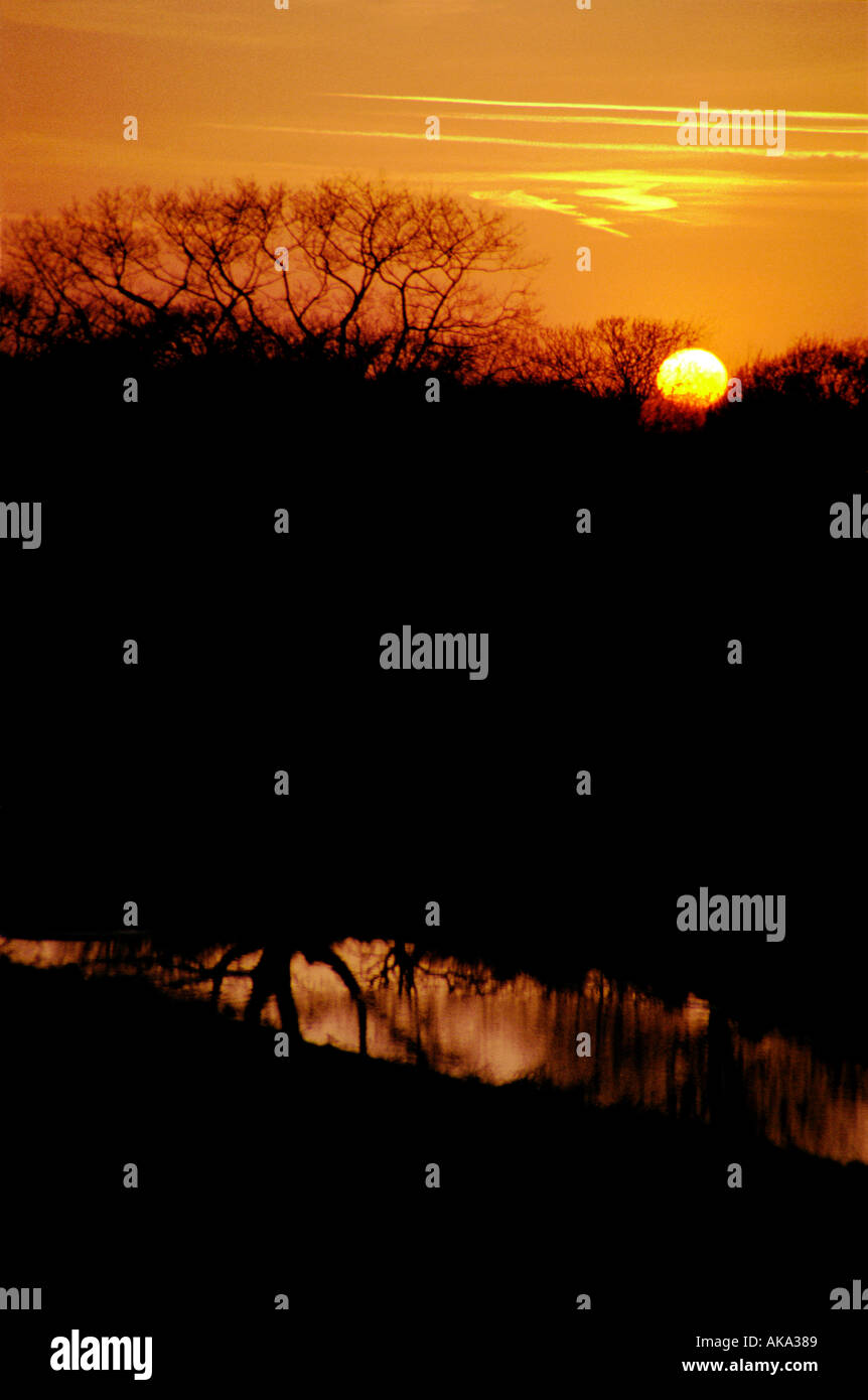 Reflective Tree Sunset Sunset with trees on the skyline and reflective water Stock Photo - Alamy