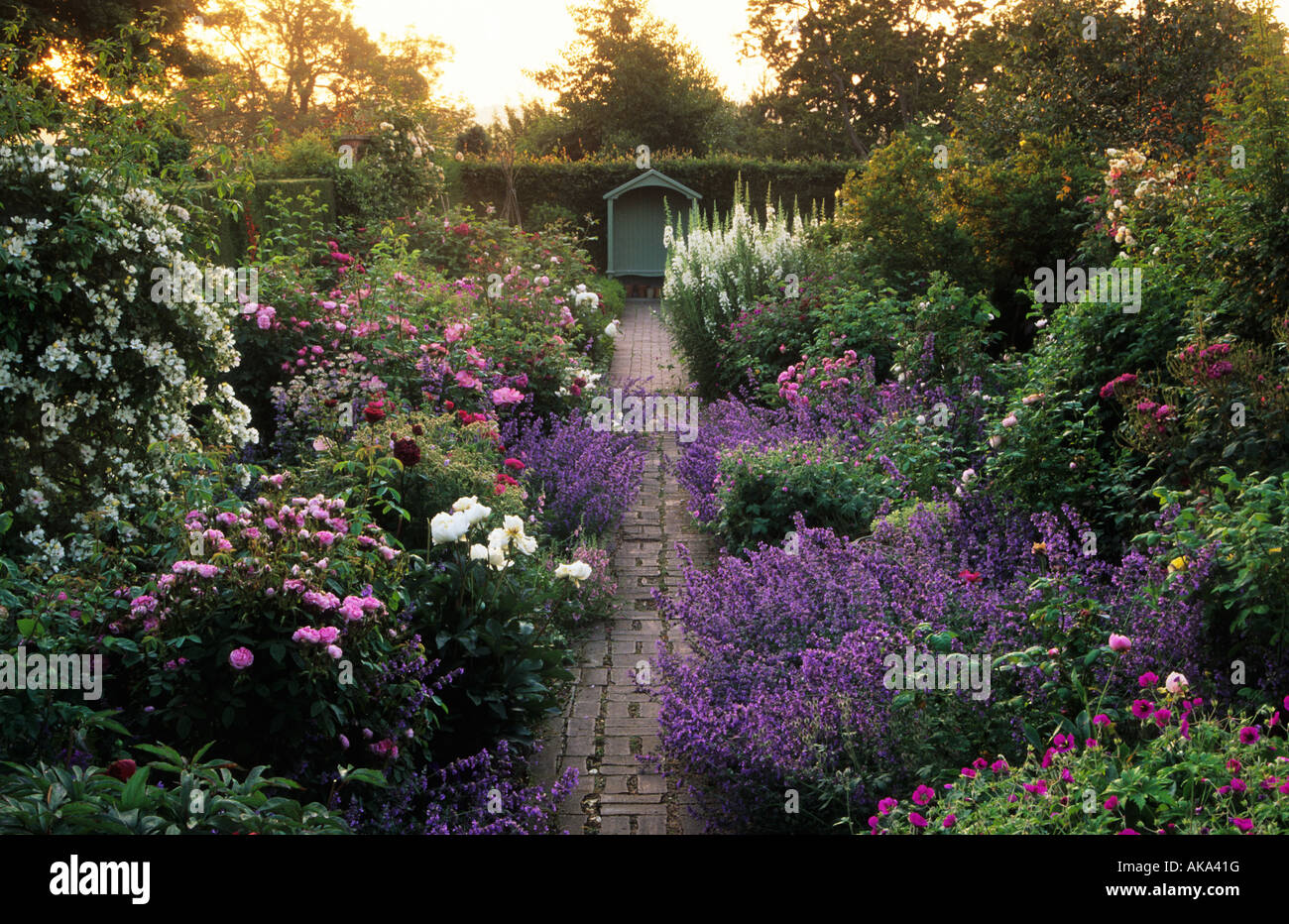 Wollerton Old Hall Shropshire brick path with borders of roses peonies