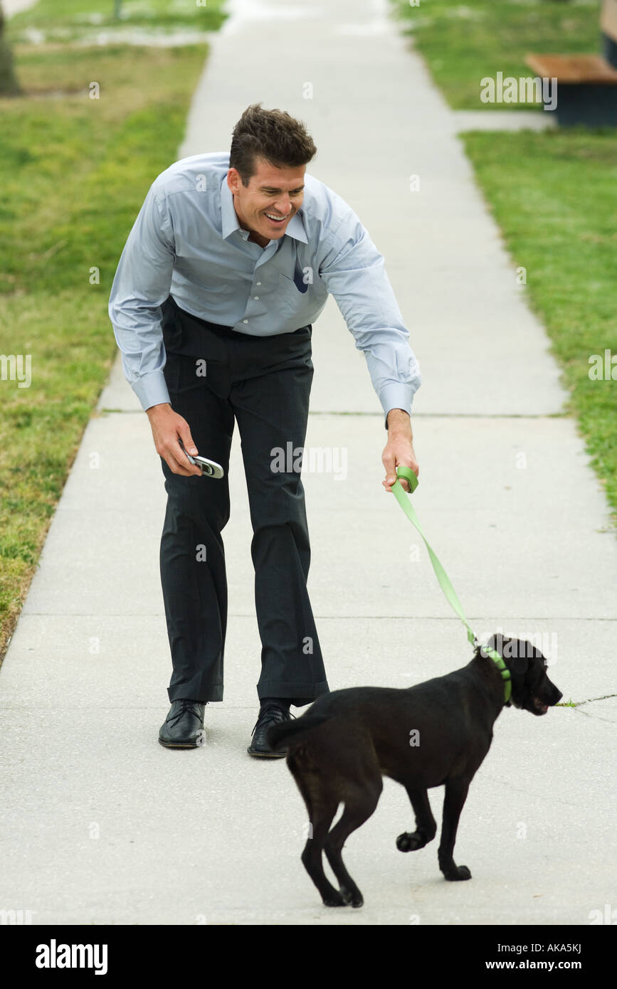 Man walking dog on sidewalk, bending forward, smiling Stock Photo Alamy