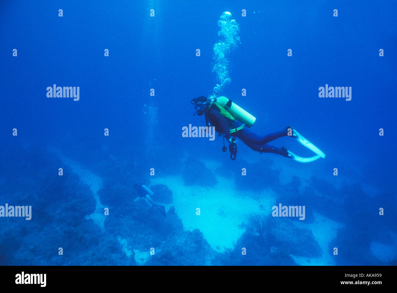 Female diver mid water Bahamas Stock Photo Alamy