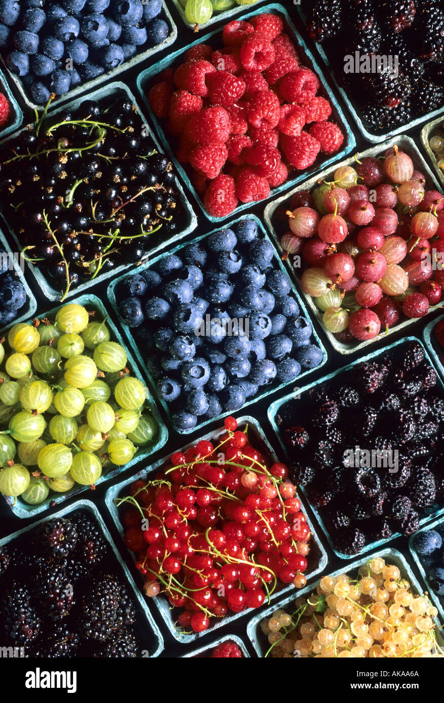 baskets of several different varieties of berries Stock Photo