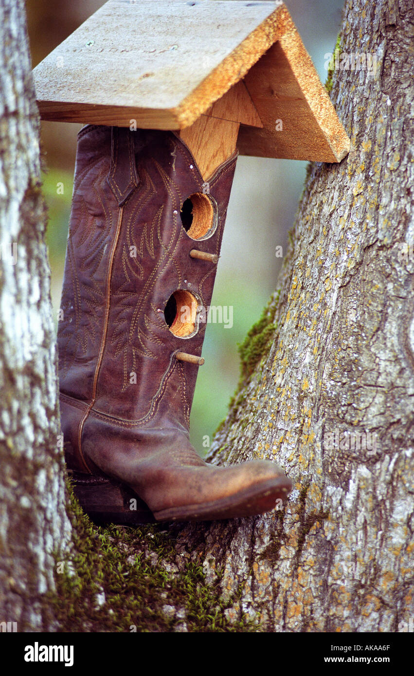 Birdhouse made from cowboy boot sitting in tree Stock Photo
