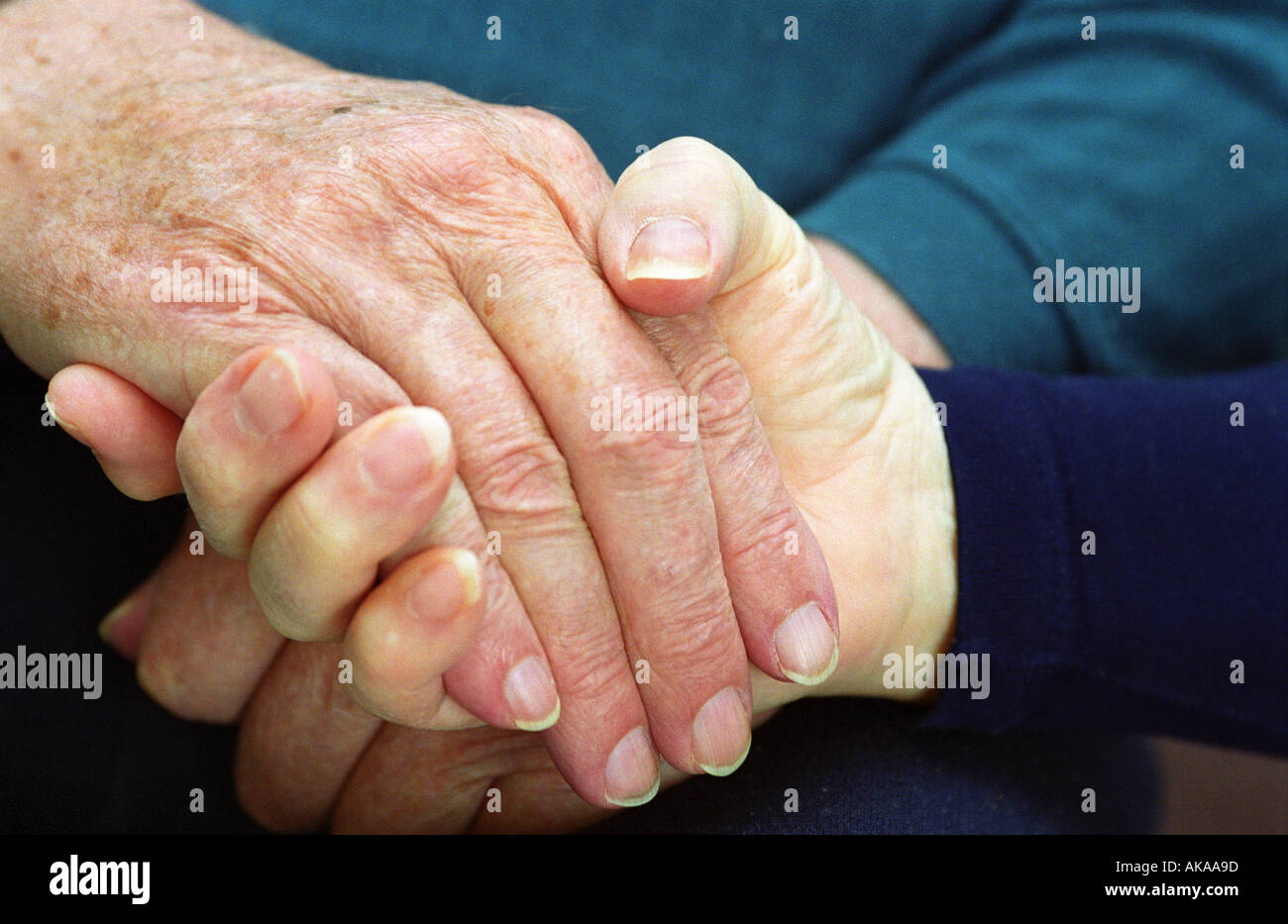 Mature adult hands Stock Photo