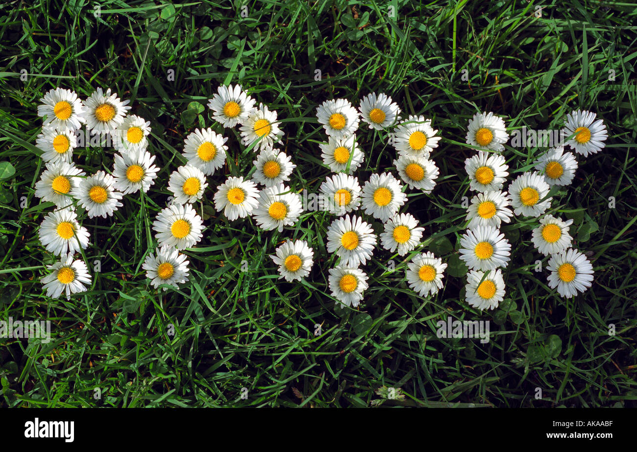 Grass with the work park spelled out in flowers Stock Photo