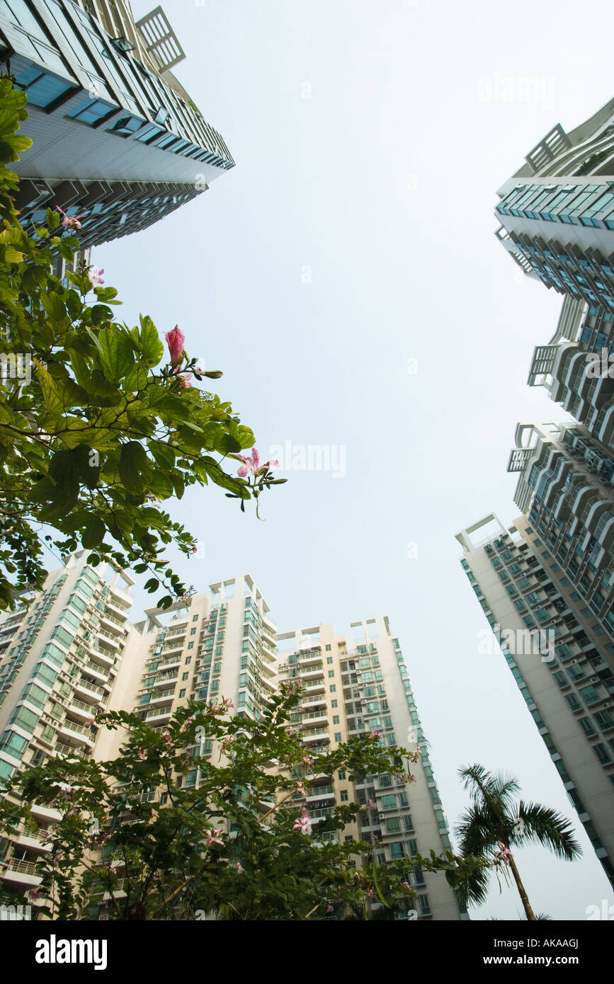 China, Guangdong Province, Guangzhou, high rises and trees in blossom, low angle view Stock Photo
