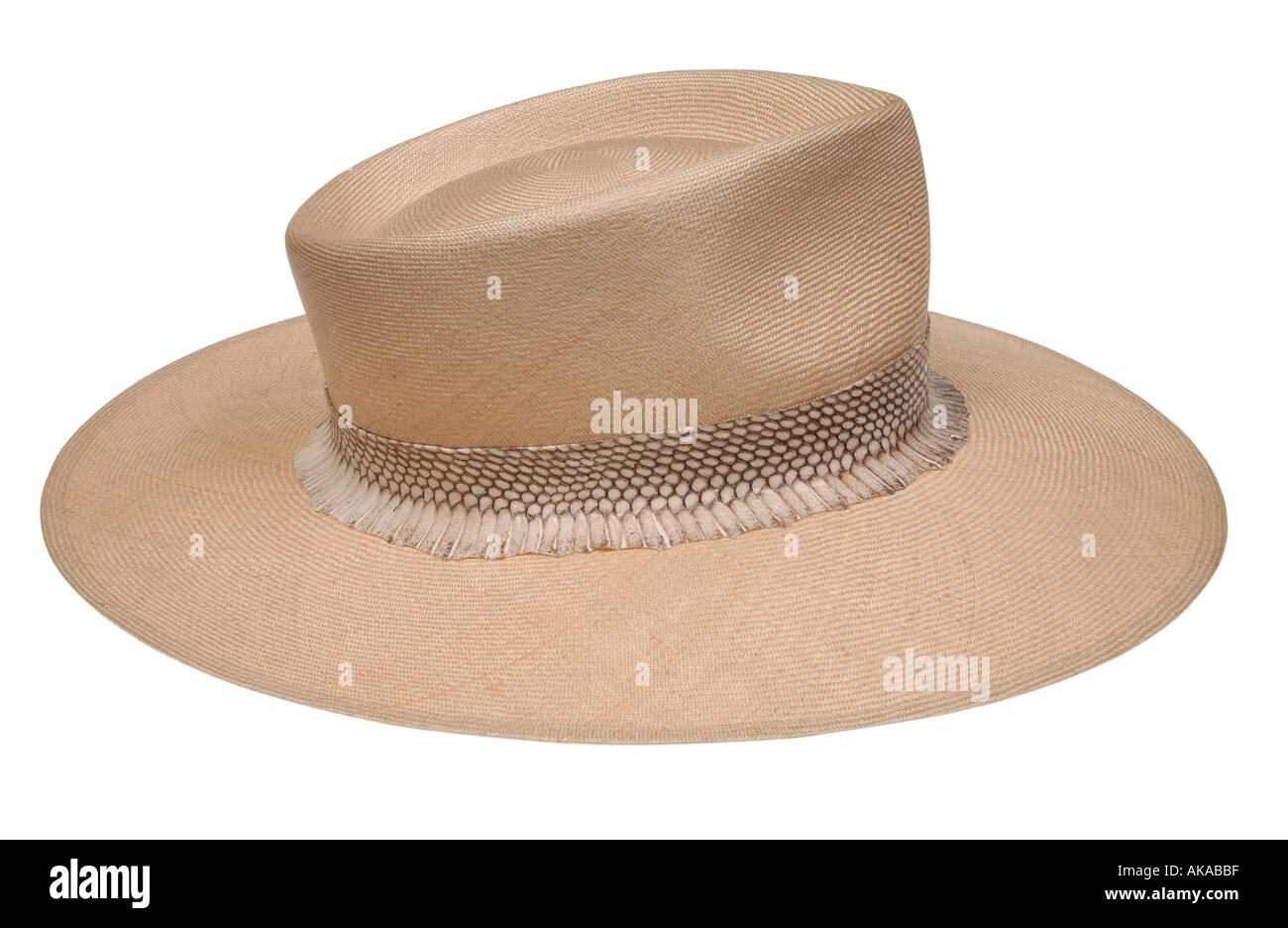 Trilby hat Stock Photo
