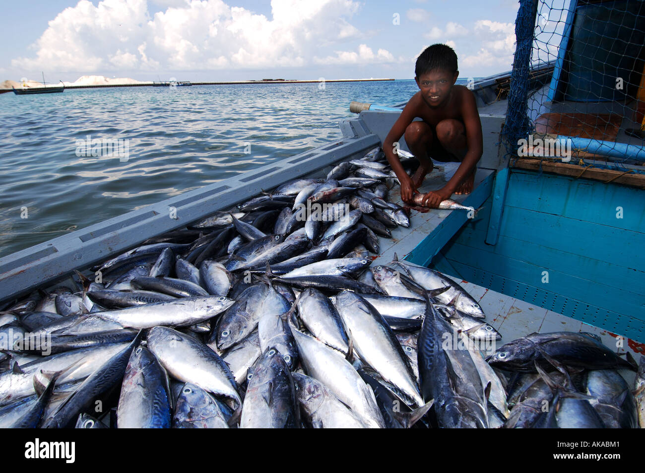 Maldives cleaning fish Stock Photo Alamy