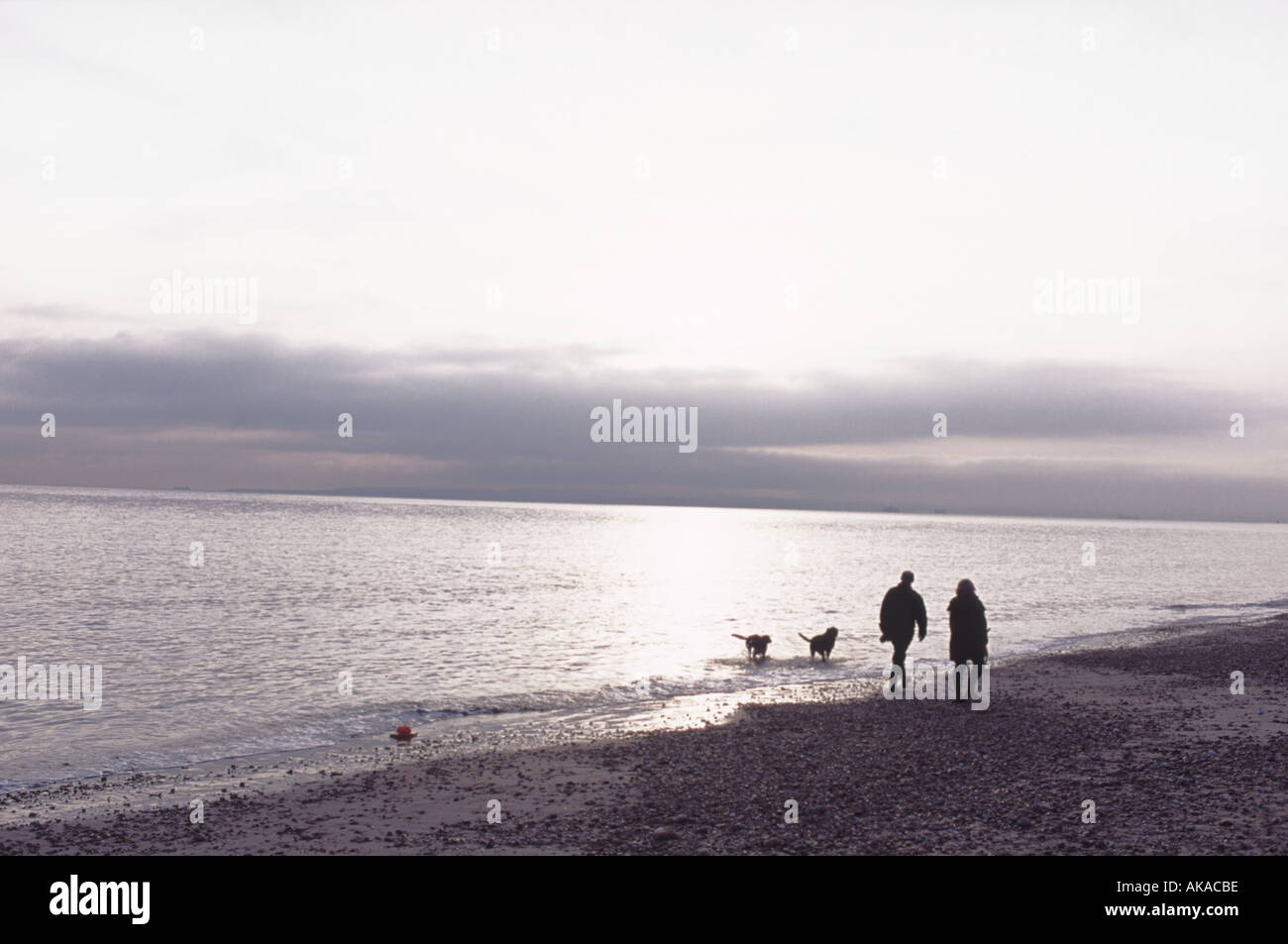 Couple Walking with Dogs along Hayling Island Beach at Sunset Hampshire