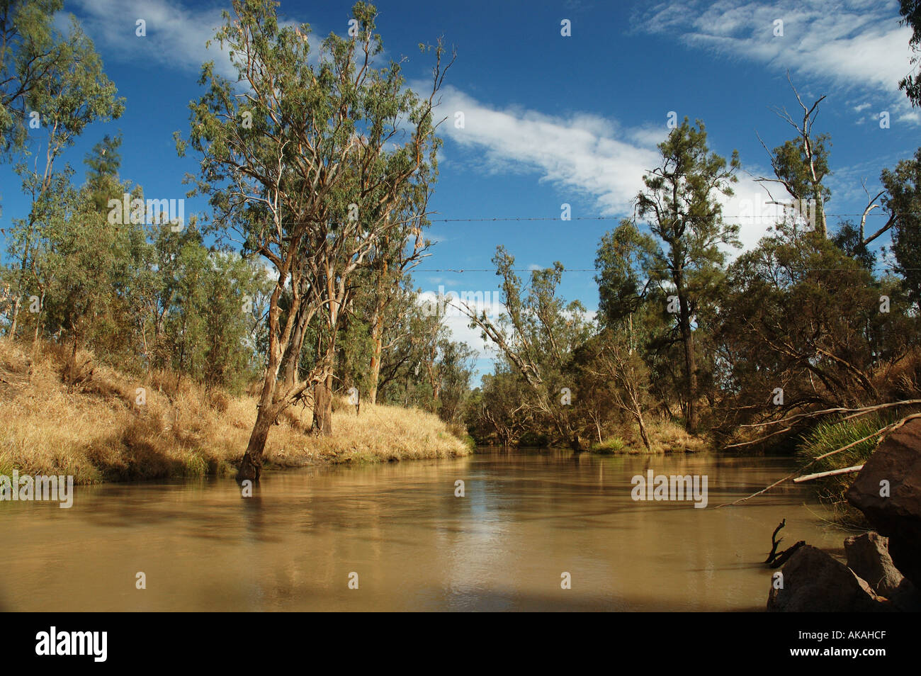 billabong outback queensland Australia dsc 3185 Stock Photo Alamy