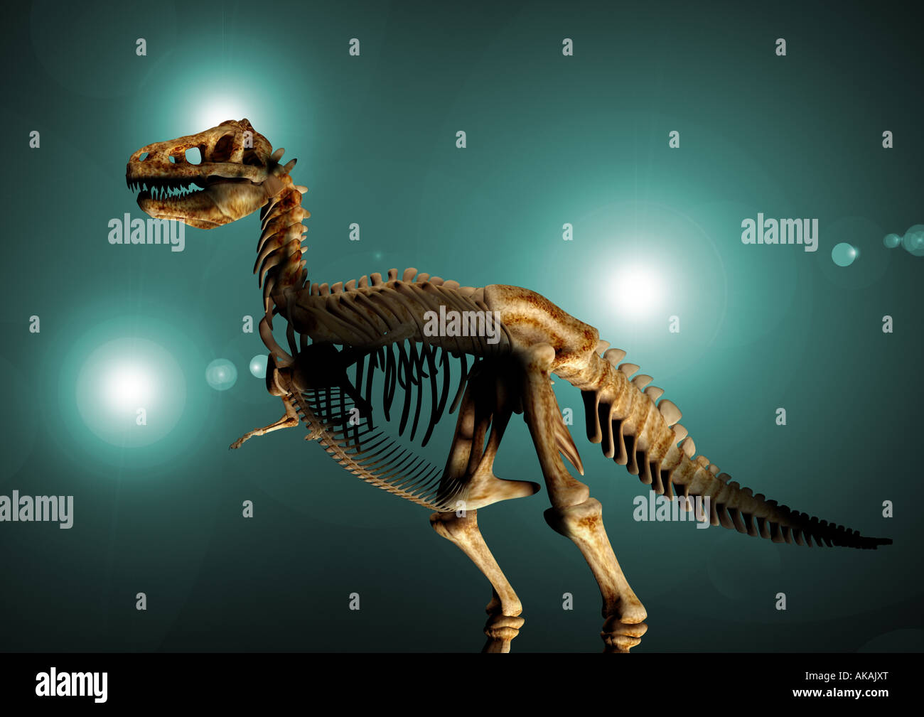 Dinosaur skeleton Dinosaurier Skelett Stock Photo