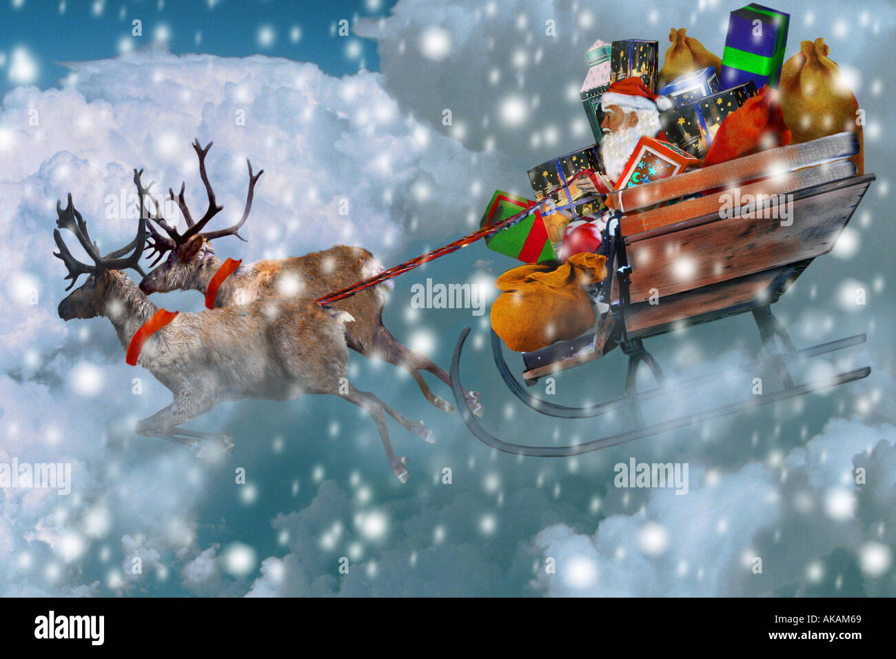 2 caribous pulling sledge with Santa Claus Stock Photo