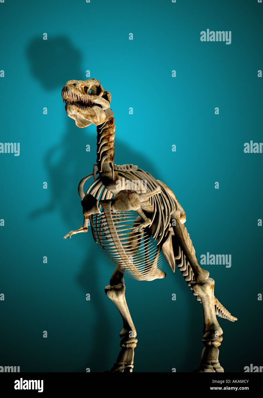 Dinosaur skeleton Dinosaurier Skelett Stock Photo