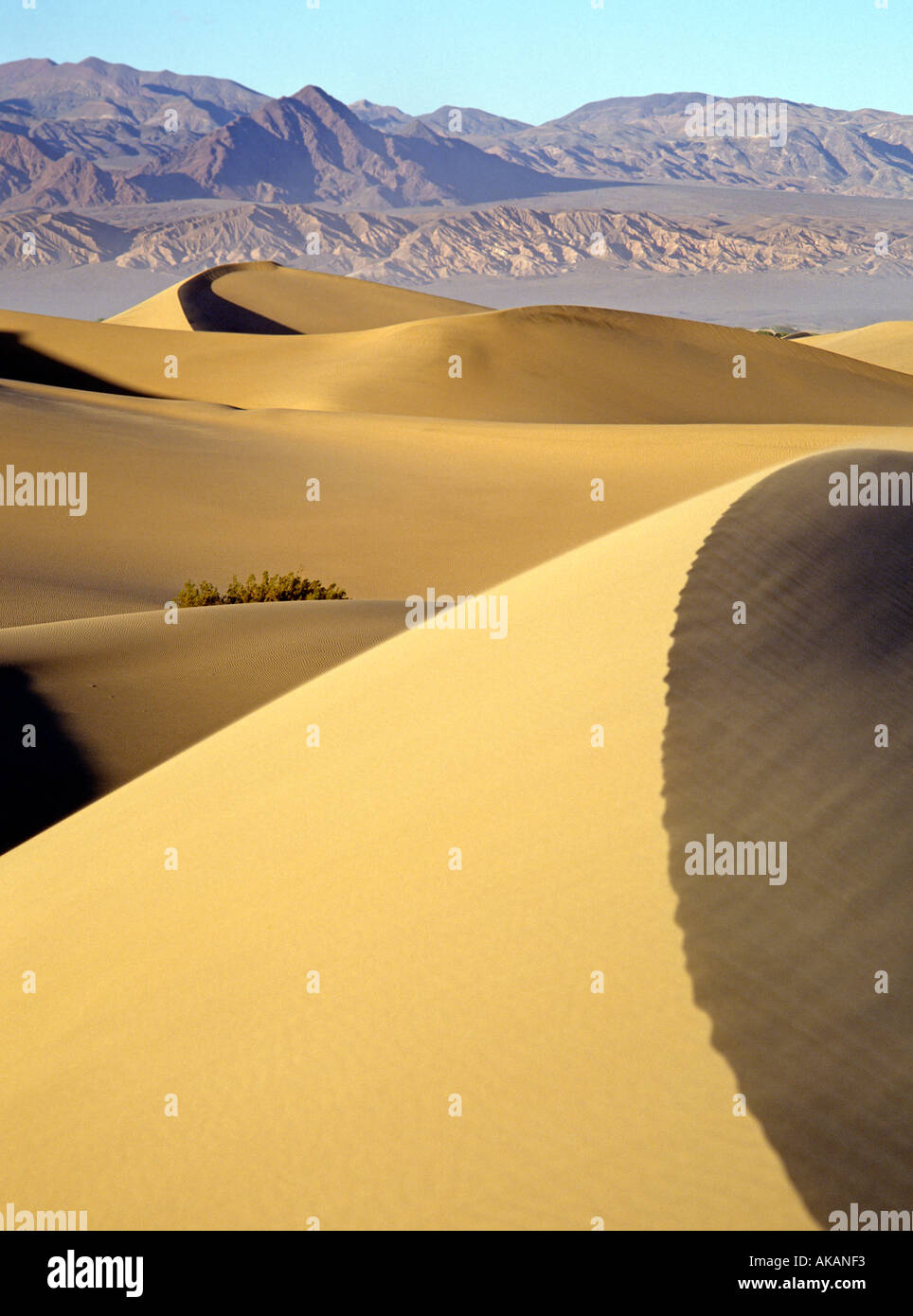 Sand dunes Death Valley California, USA Stock Photo Alamy