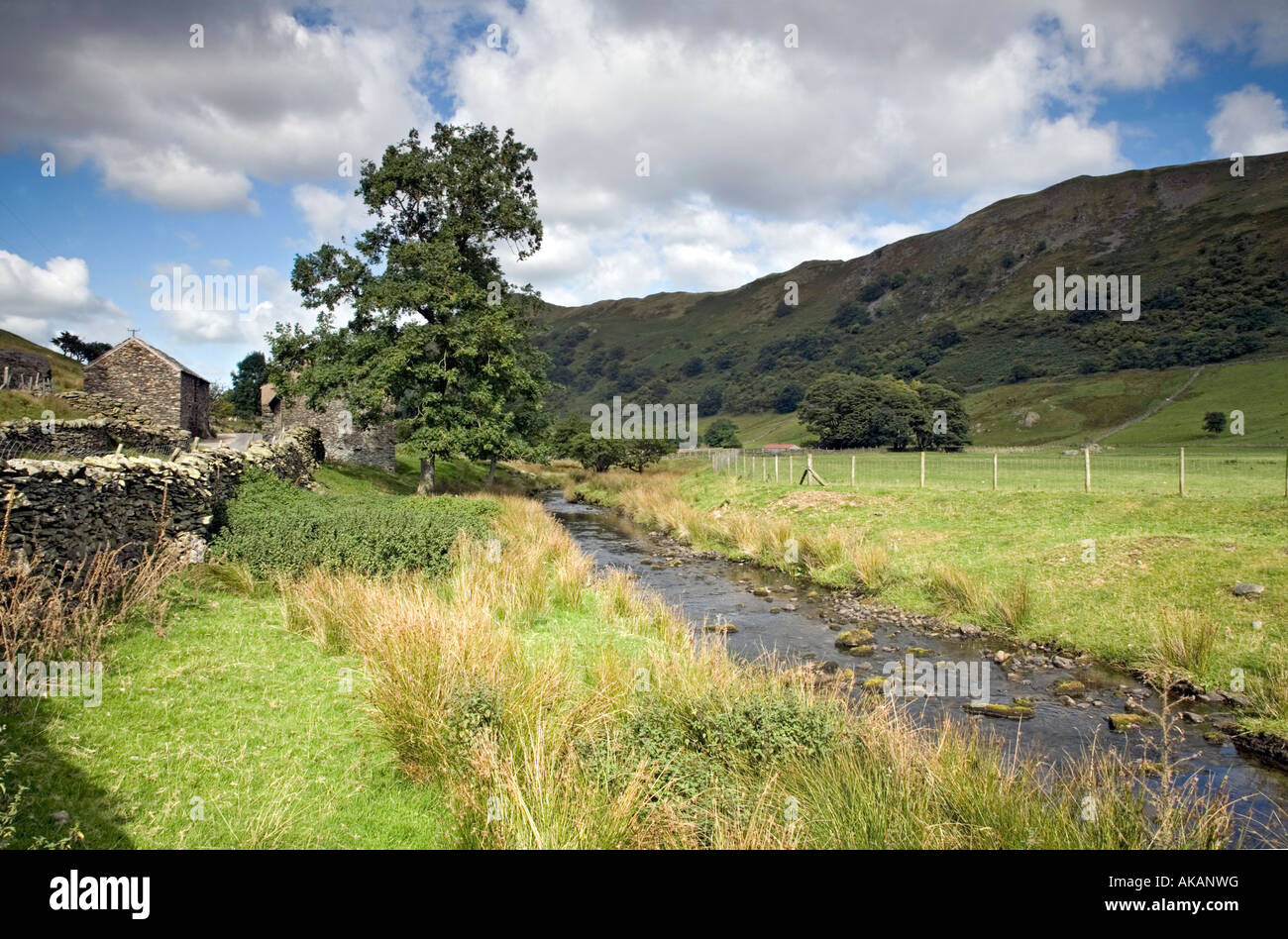 View Down Martindale Valley with Howegrain Beck Lake District National