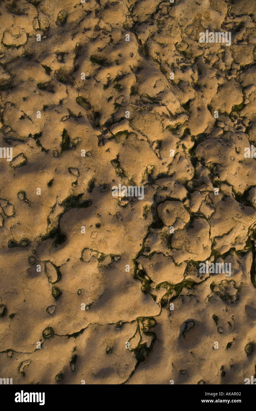 Rock Texture Hunstanton Norfolk England UK Stock Photo Alamy