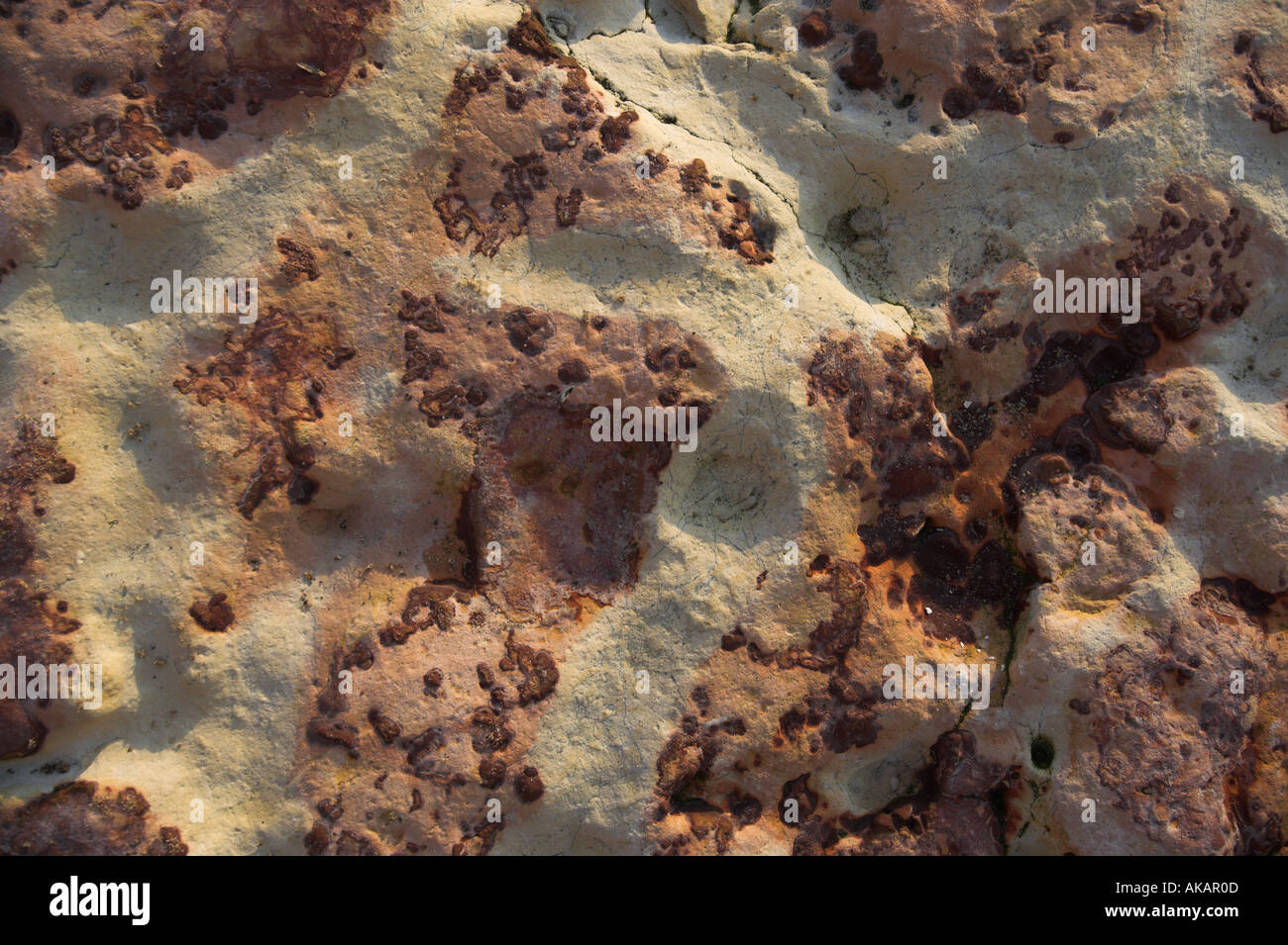 Rock Texture Hunstanton Norfolk England UK Stock Photo - Alamy