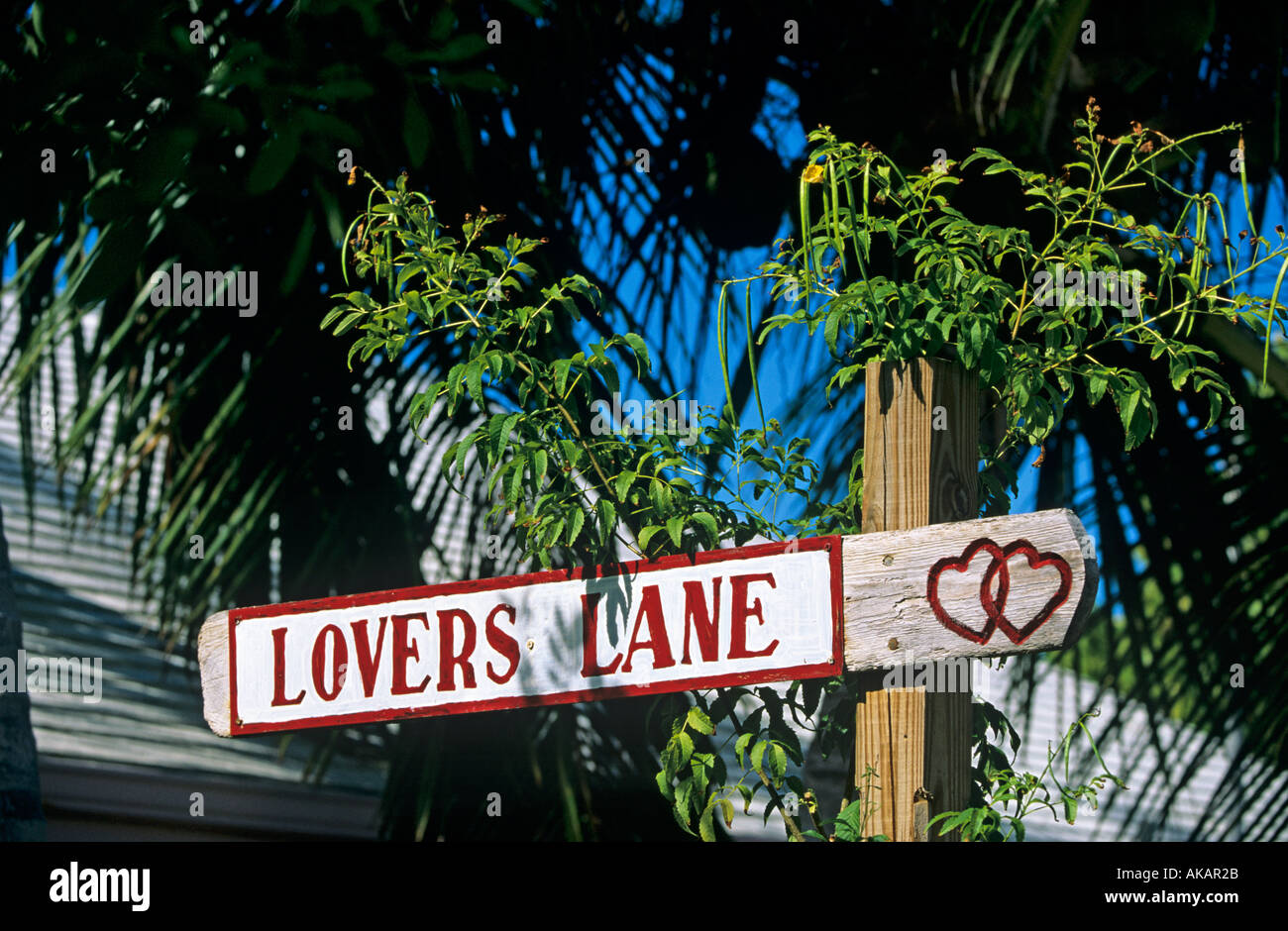 Lovers lane wooden sign amidst the palm trees in the Abacos Bahamas Stock Photo