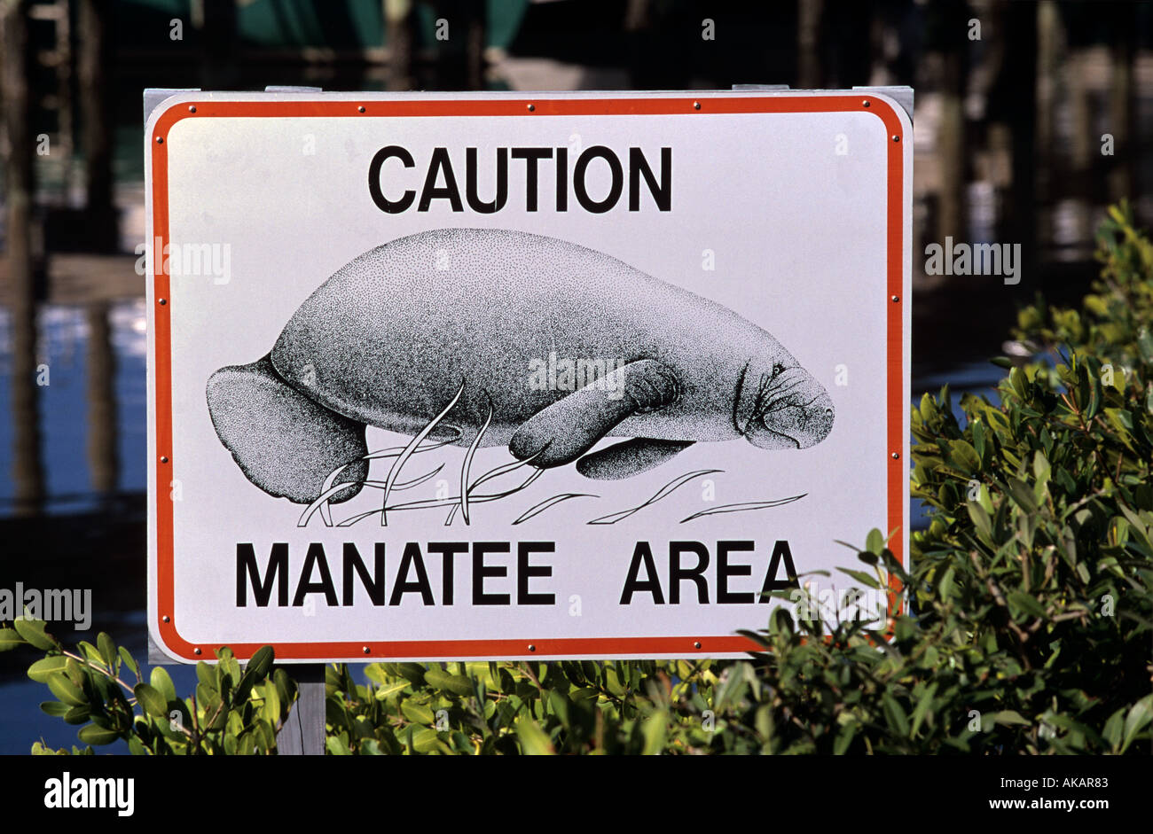 Manatee warning sign Florida USA Stock Photo Alamy