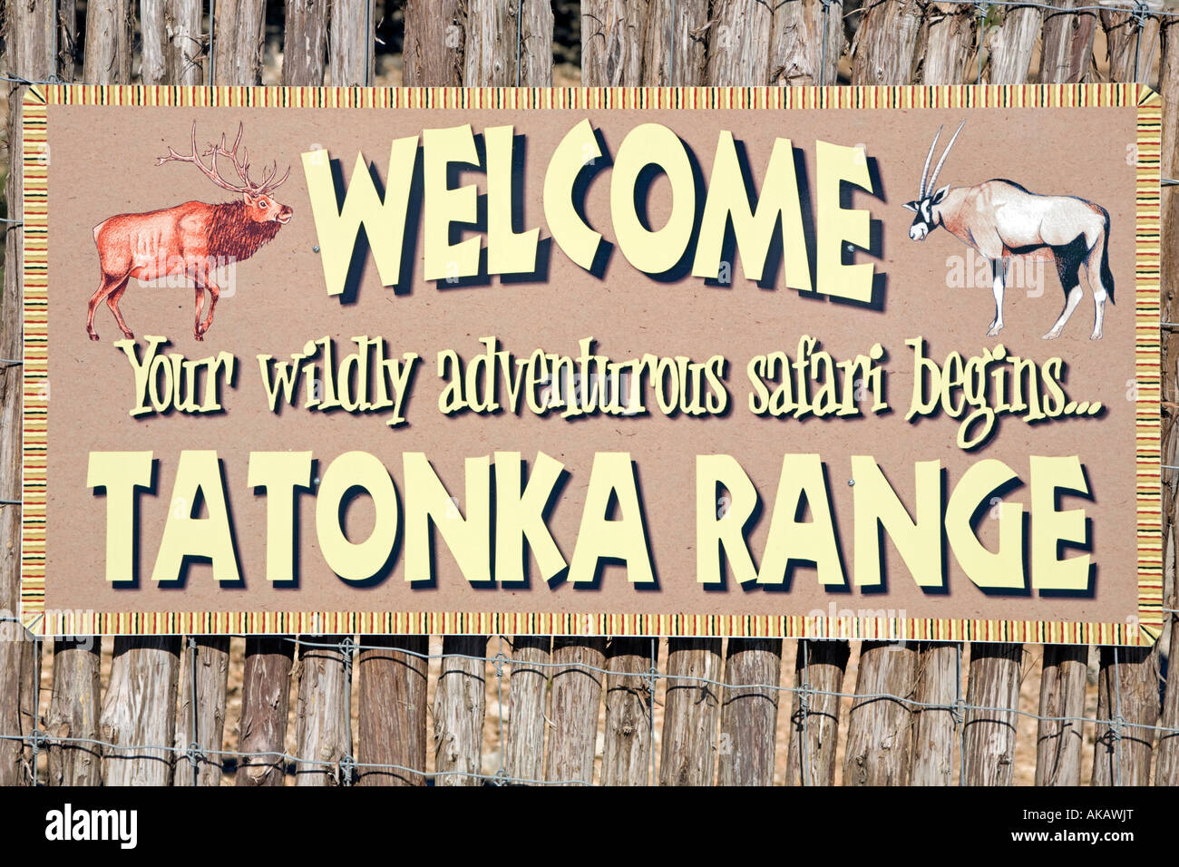 Tatonka High Resolution Stock Photography And Images Alamy