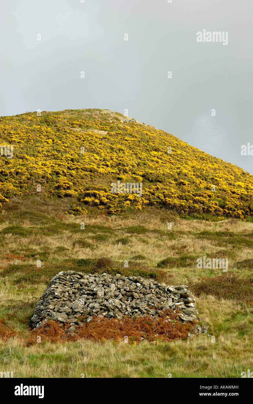 Prehistoric cairn near Penderi oakwoods on the Ceredigion coast, Wales. Stock Photo