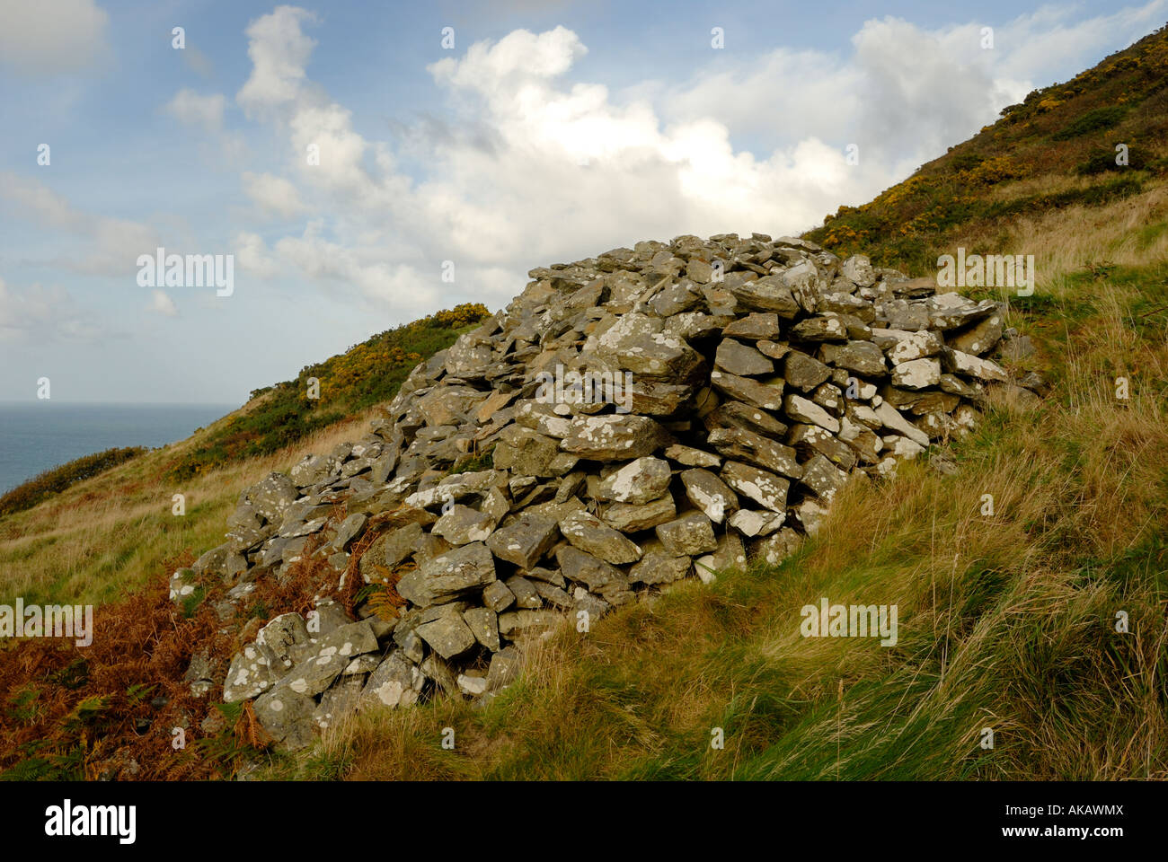 Prehistoric cairn near Penderi oakwoods on the Ceredigion coast, Wales  Stock Photo - Alamy