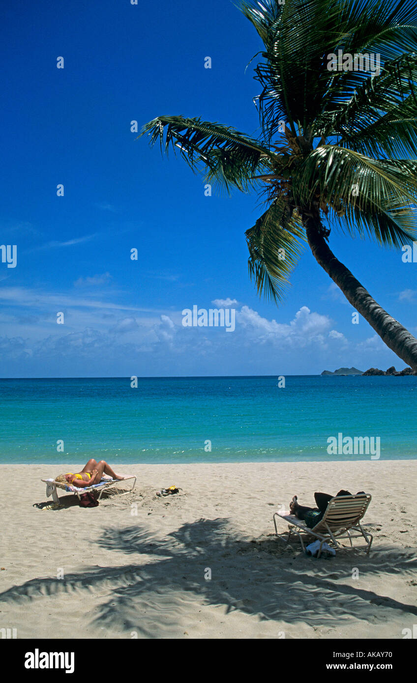 Palm fringed tropical beach St Thomas Caribbean Stock Photo - Alamy