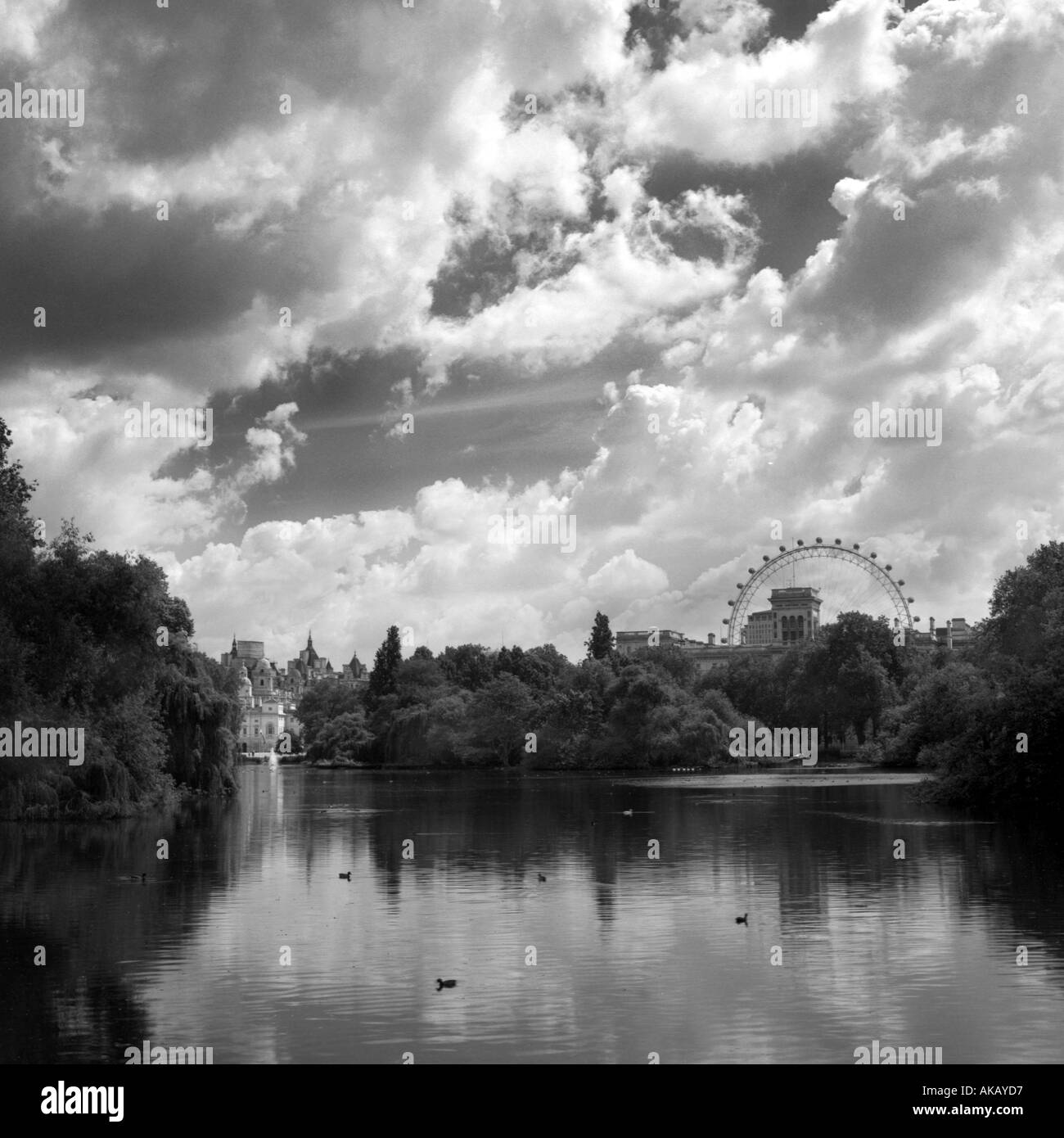 St james park london eye Black and White Stock Photos & Images - Alamy