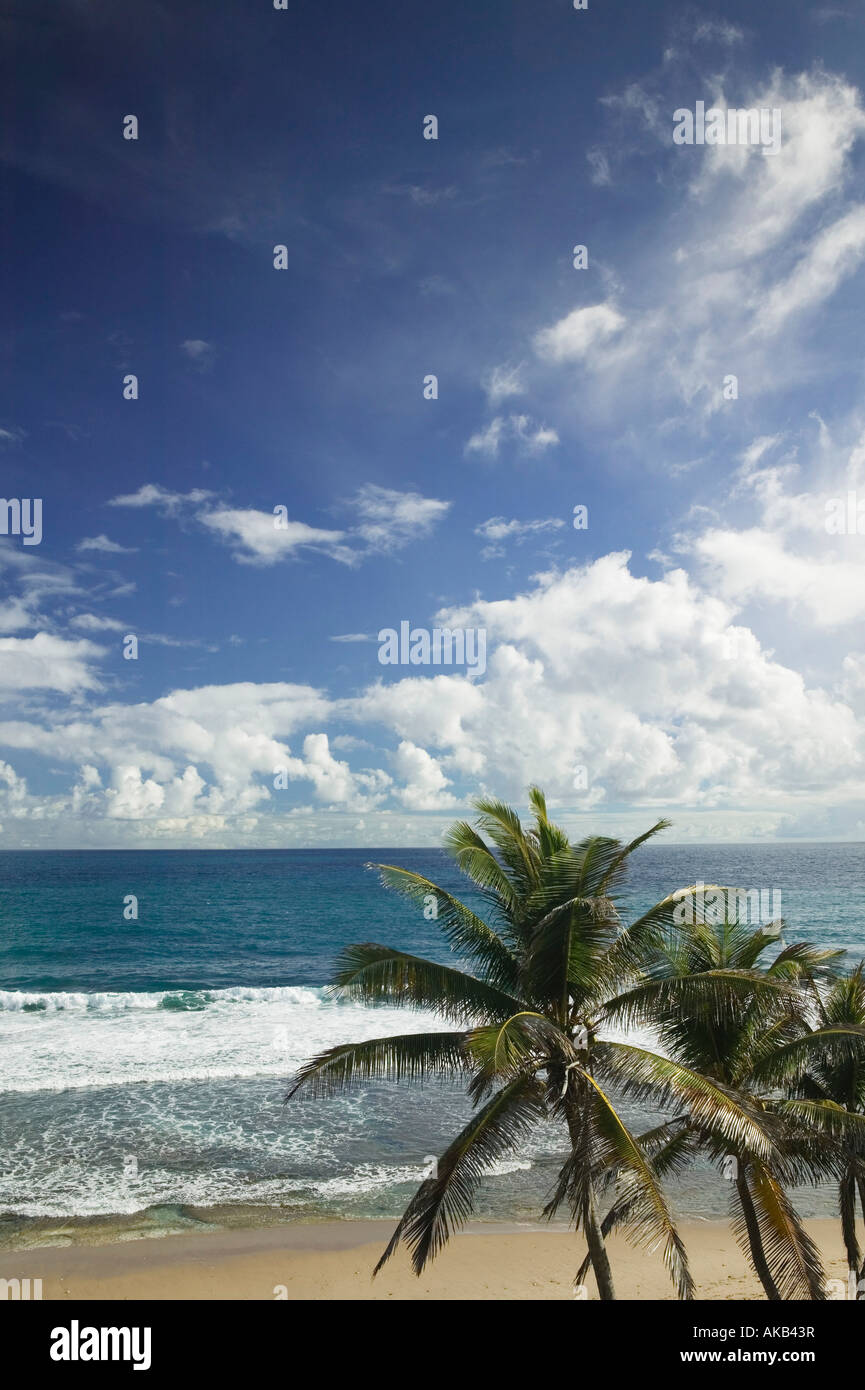 Barbados, North East Coast, Bathsheba, 'Soup Bowl' Beach (Prime Surfing