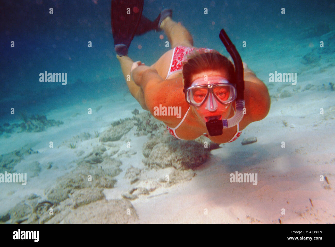 This female freediver clad in a pink bikini snorkel mask and fins swims along the sandy ocean floor towards the camera lens Stock Photo