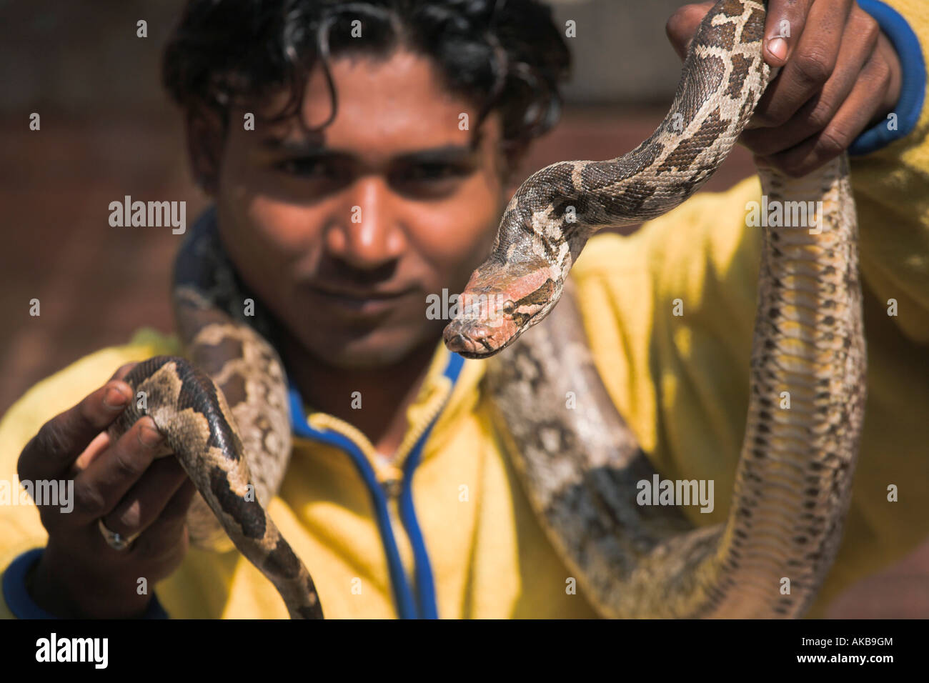 Nepal, Bagmati, Patan, Snake charmer Stock Photo - Alamy