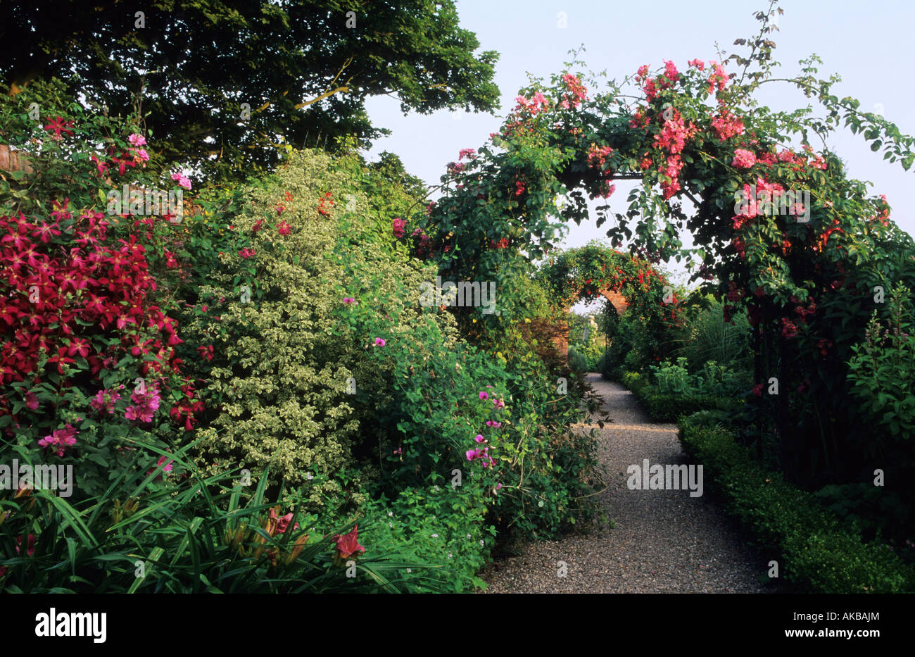 Wollerton Old Hall Shropshire Rose Arch Rosa Crimson Showers With Stock Photo Alamy