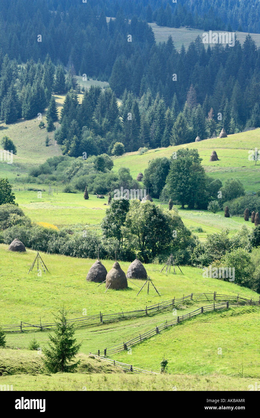 Carpathians, Zakarpattia Oblast, Transcarpathia, Ukraine Stock Photo ...