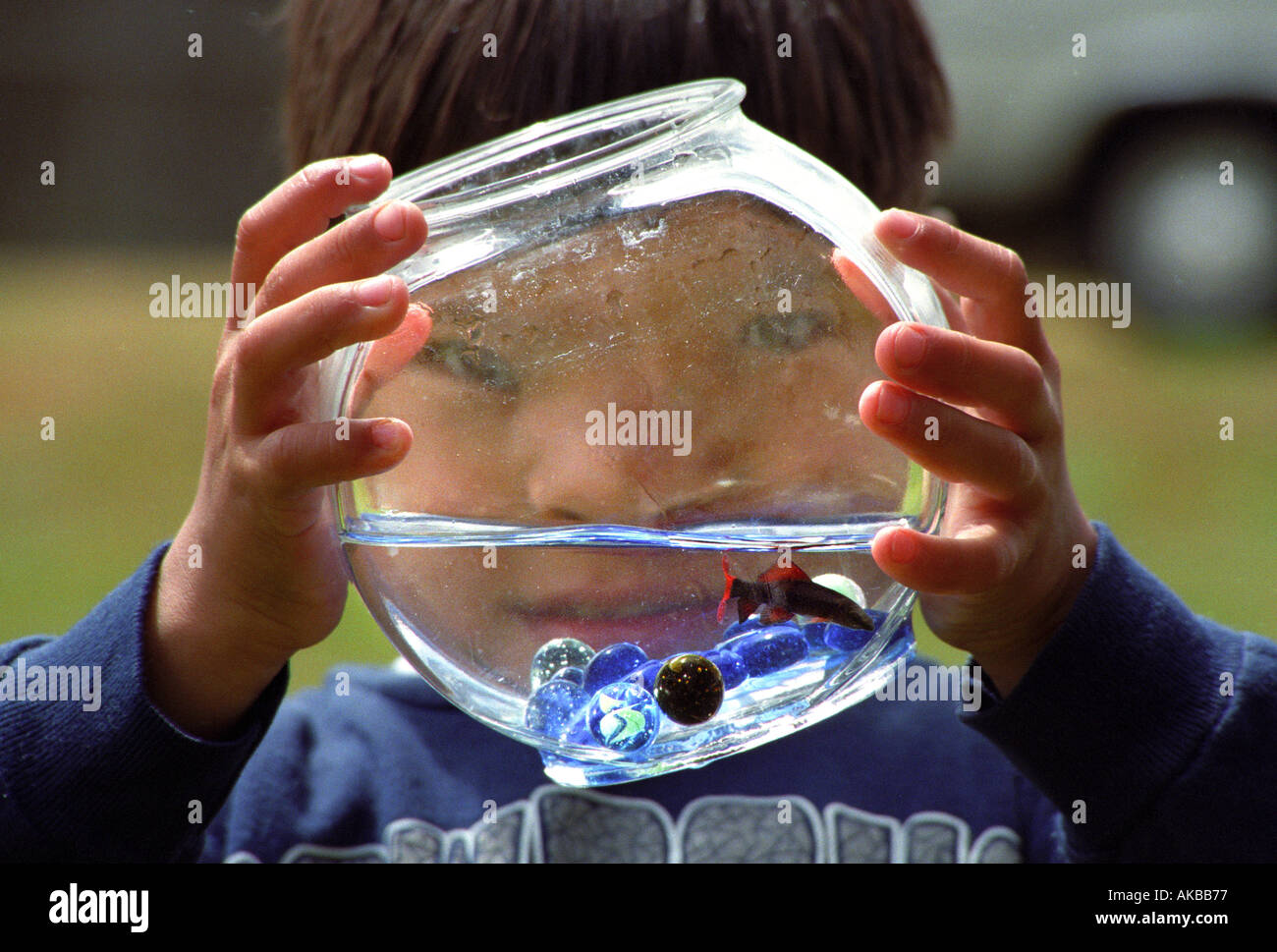 Boy holding fishbowl in front of face Stock Photo Alamy