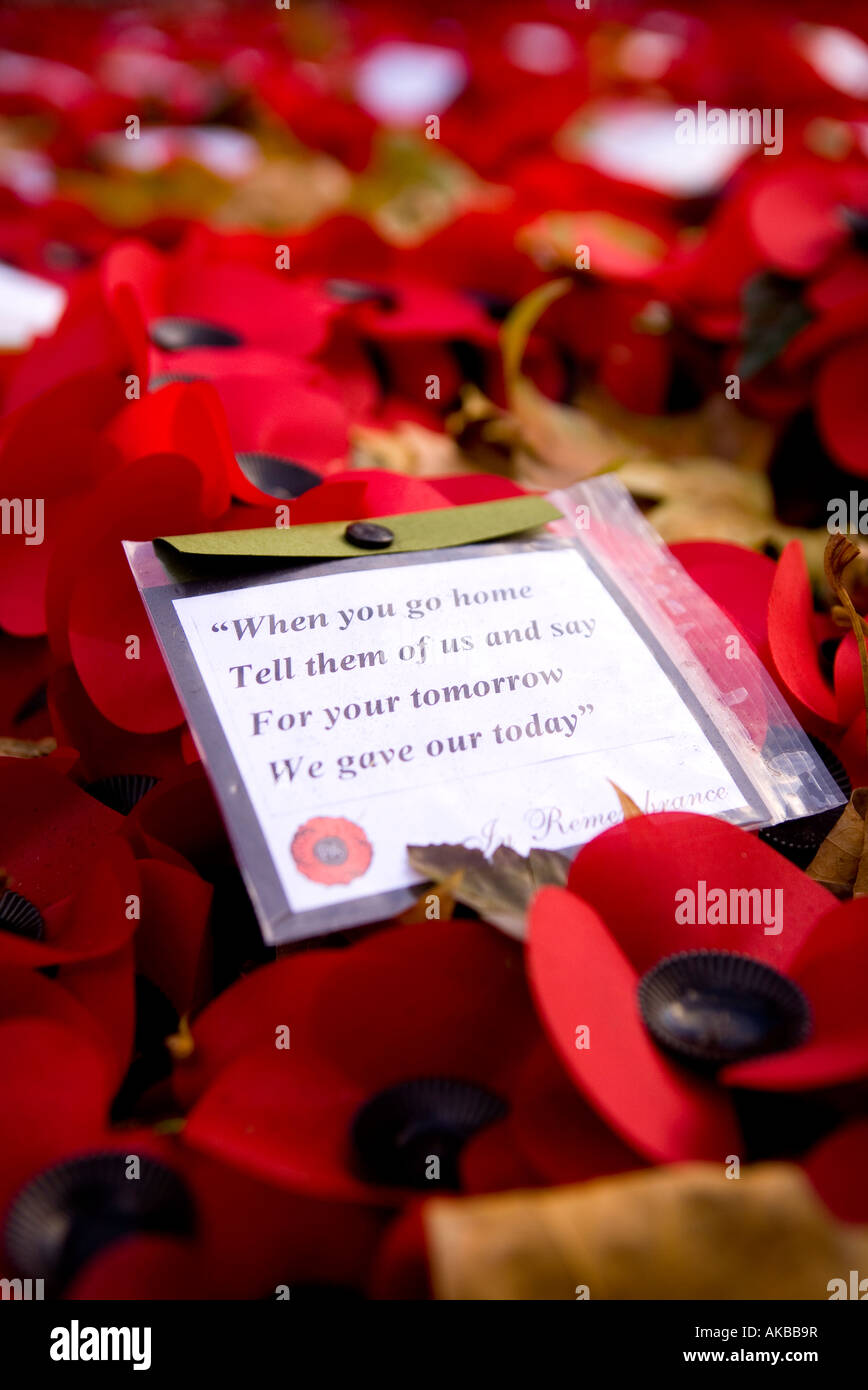 Poppies Of Remembrance Stock Photo Alamy Poppies Of Remembrance Stock Photo Alamy