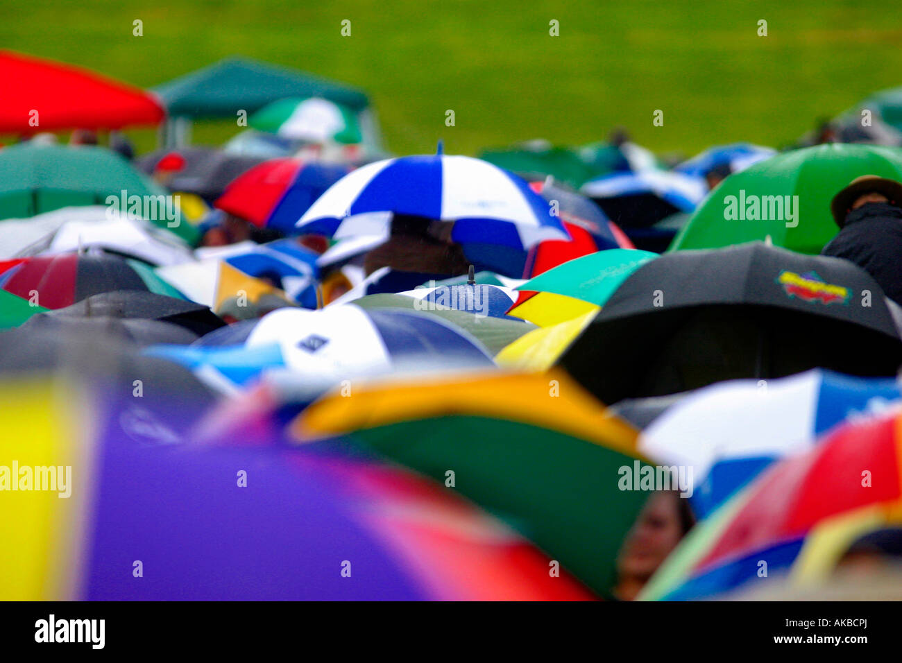 Umbrellas in the crowd at the Jools Holland at Belvoir castle Carte D Or  Proms and Smooth concert Stock Photo - Alamy