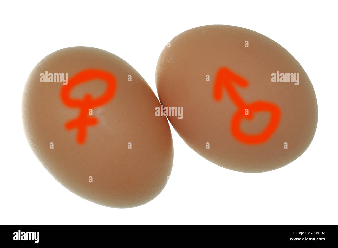 Breeding couple at Cut Out Stock Images & Pictures Alamy