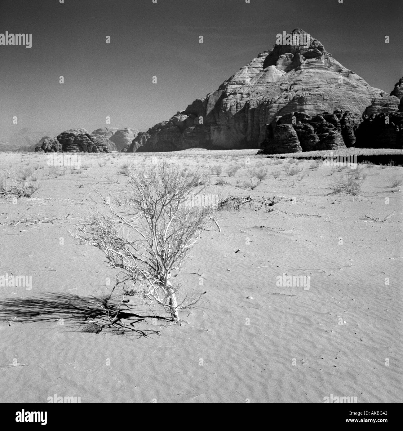 Desert Wadi Rum Stock Photo Alamy