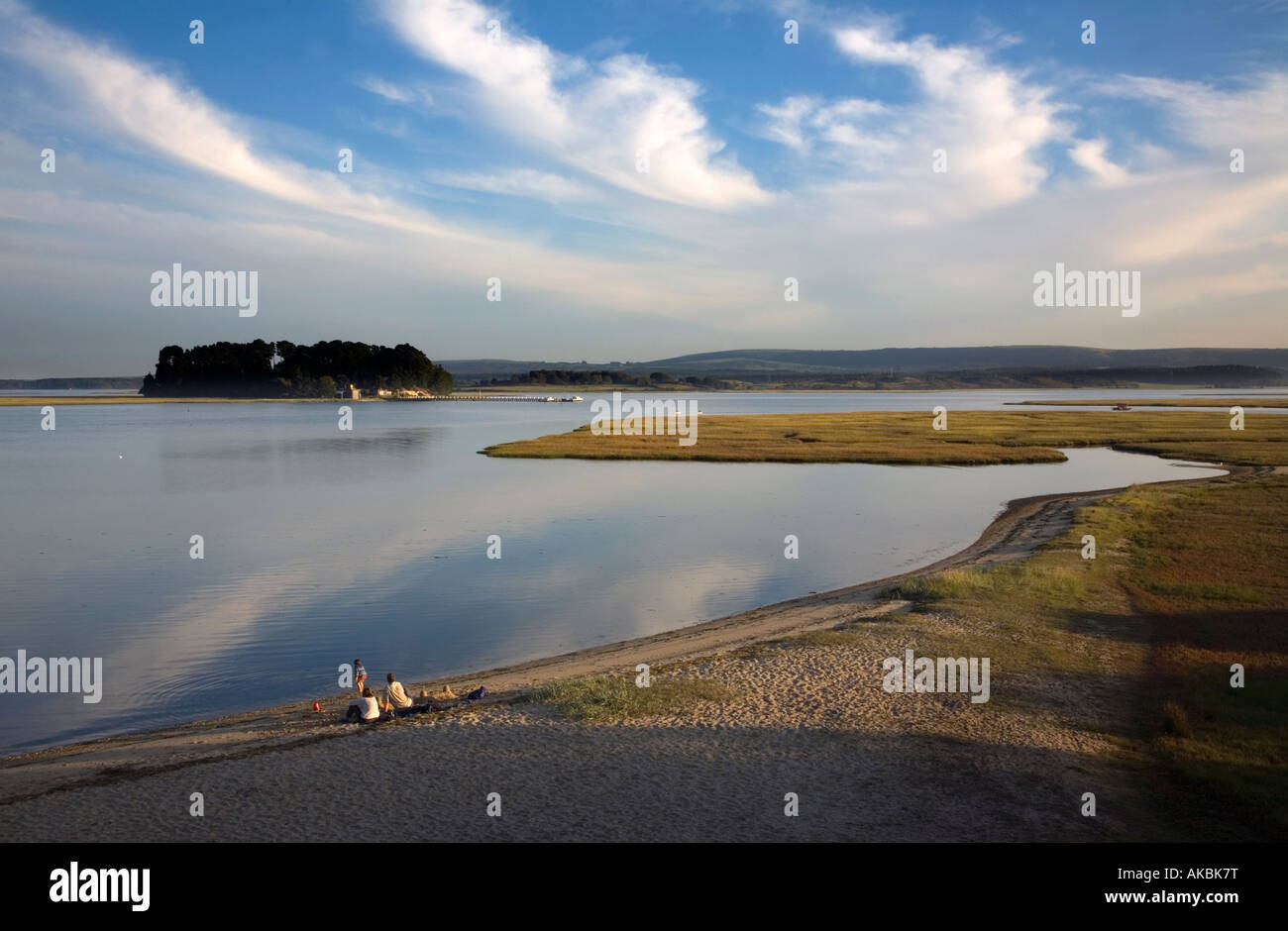 View from rspb arne hi-res stock photography and images - Alamy