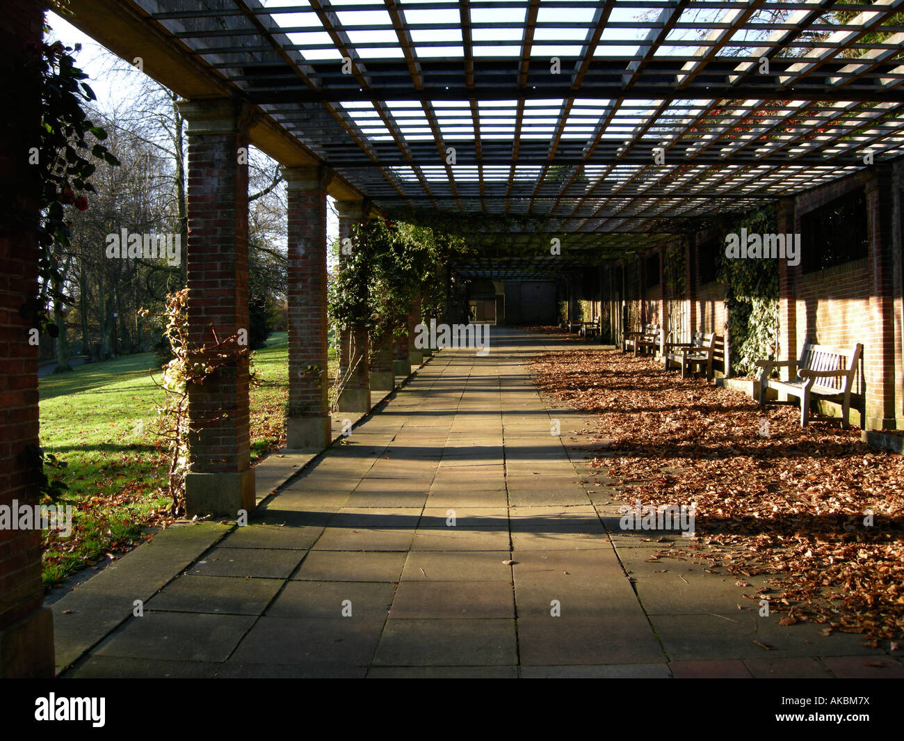 trellis in valley gardens Stock Photo Alamy