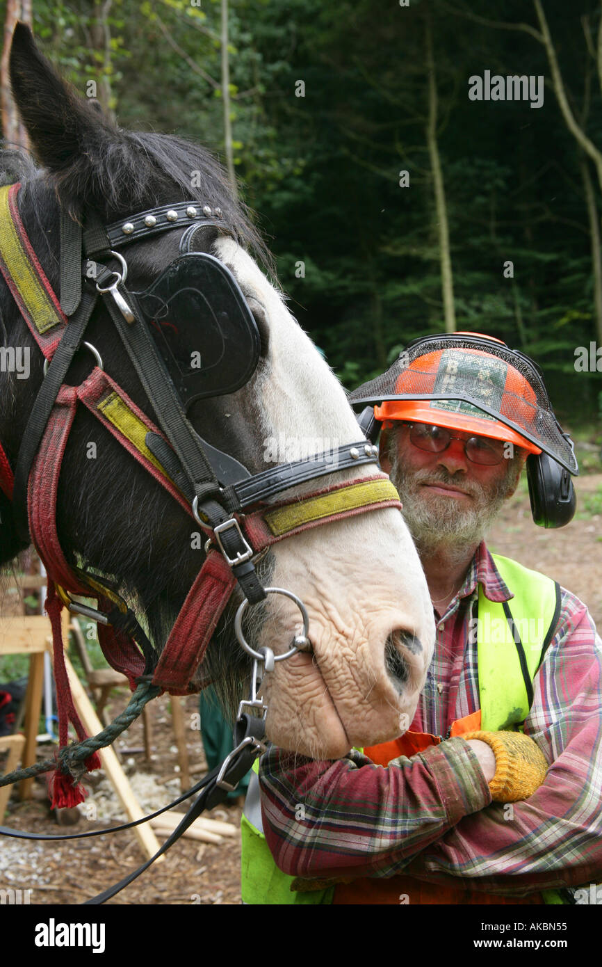 Working shire horse hires stock photography and images Alamy