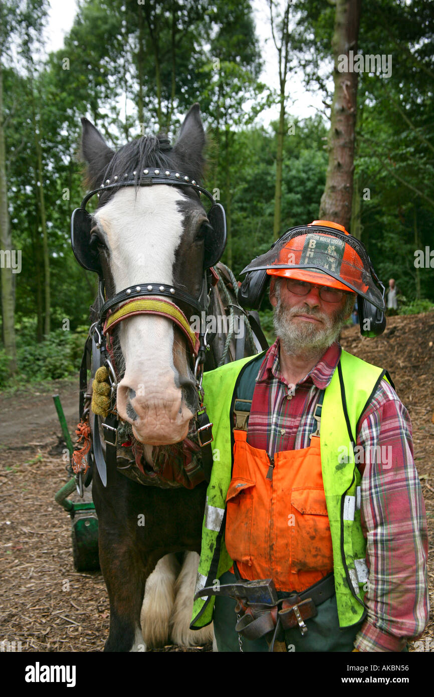 Working shire horse hires stock photography and images Alamy