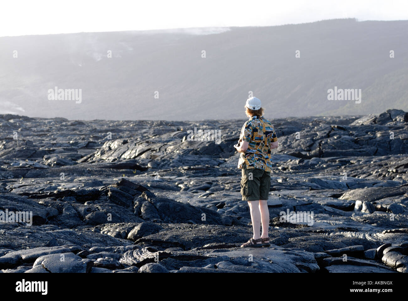 Pahoehoe lava flow from 1992-2003 eruption Stock Photo
