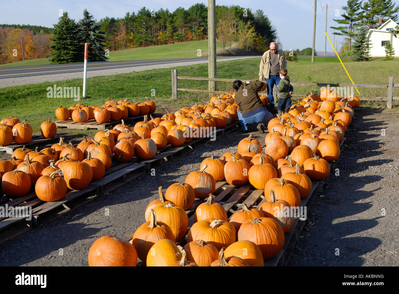 Roadside pumpkin and vegetable market stand store near Traverse City Stock Photo