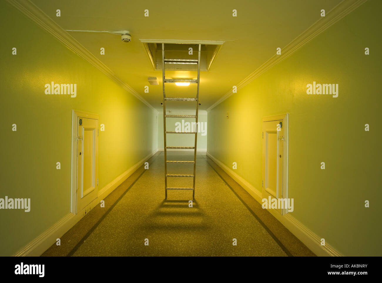 empty corridor in buildng, lit by artificial light, ladder reaching up into loft space; eerie and mysterious, deserted Stock Photo