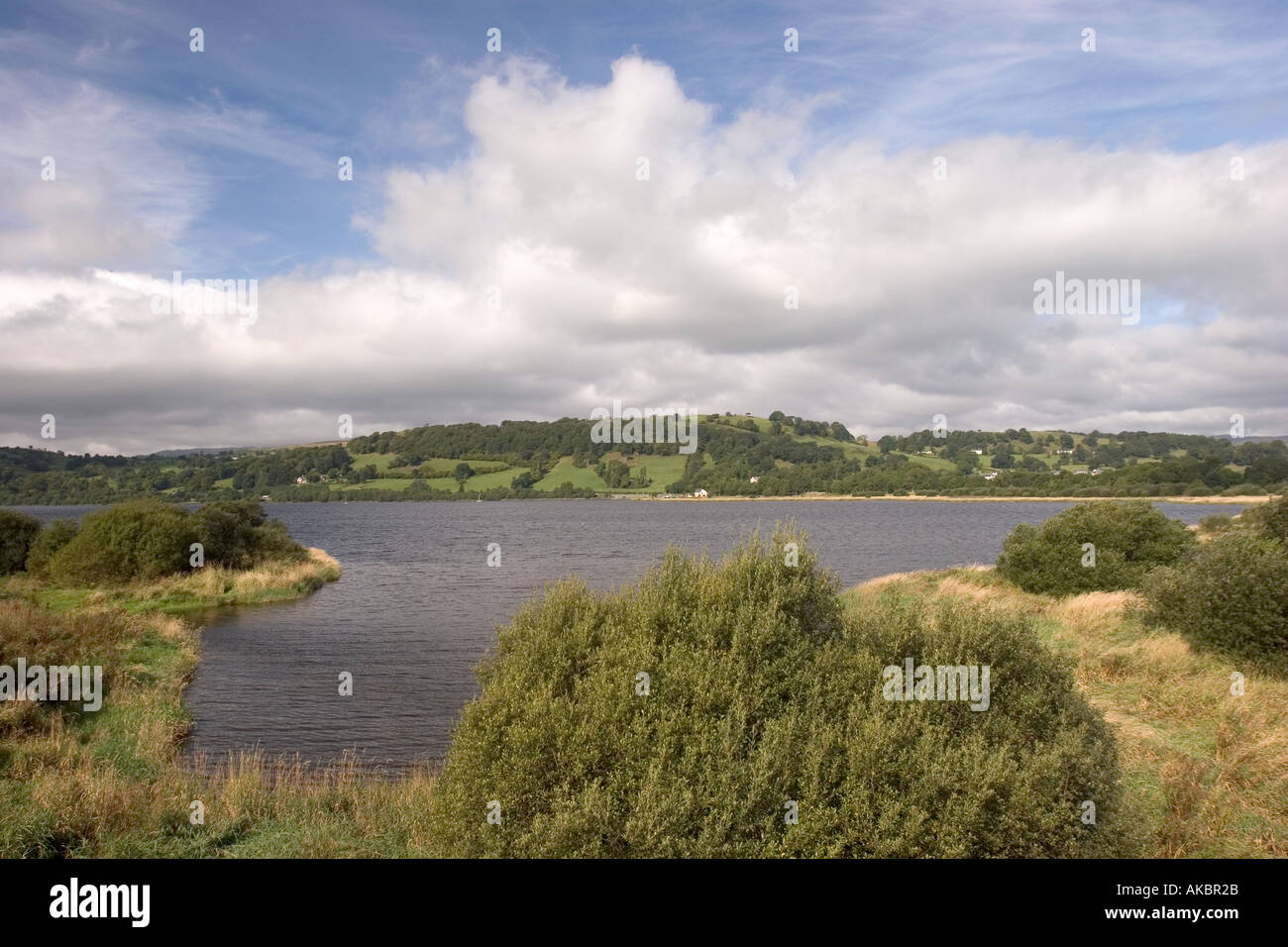 Wales Gwynedd Snowdonia Llyn Tegid Bala Lake from the old bridge Stock ...