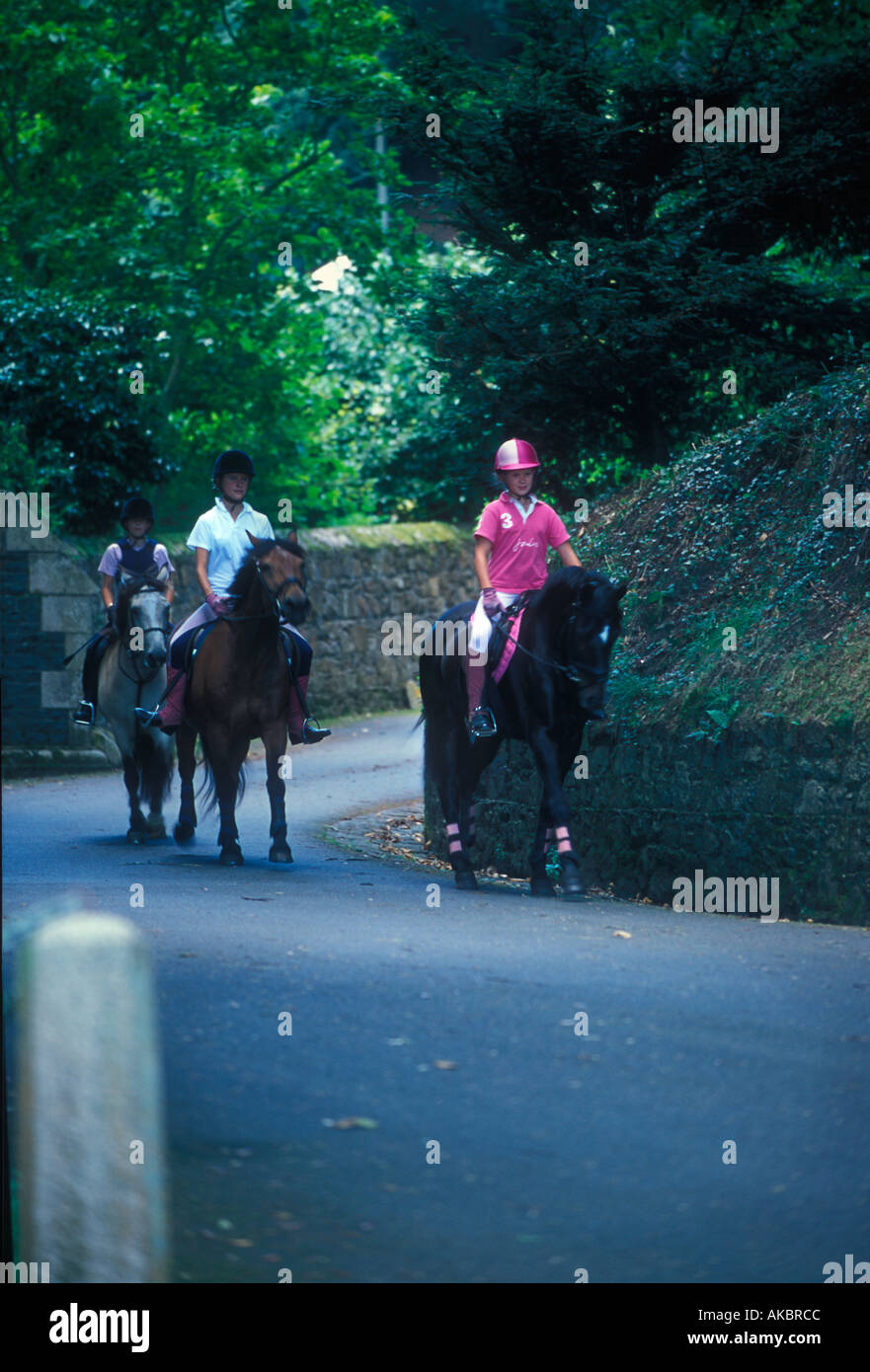 Channel islands country lane hi-res stock photography and images - Alamy