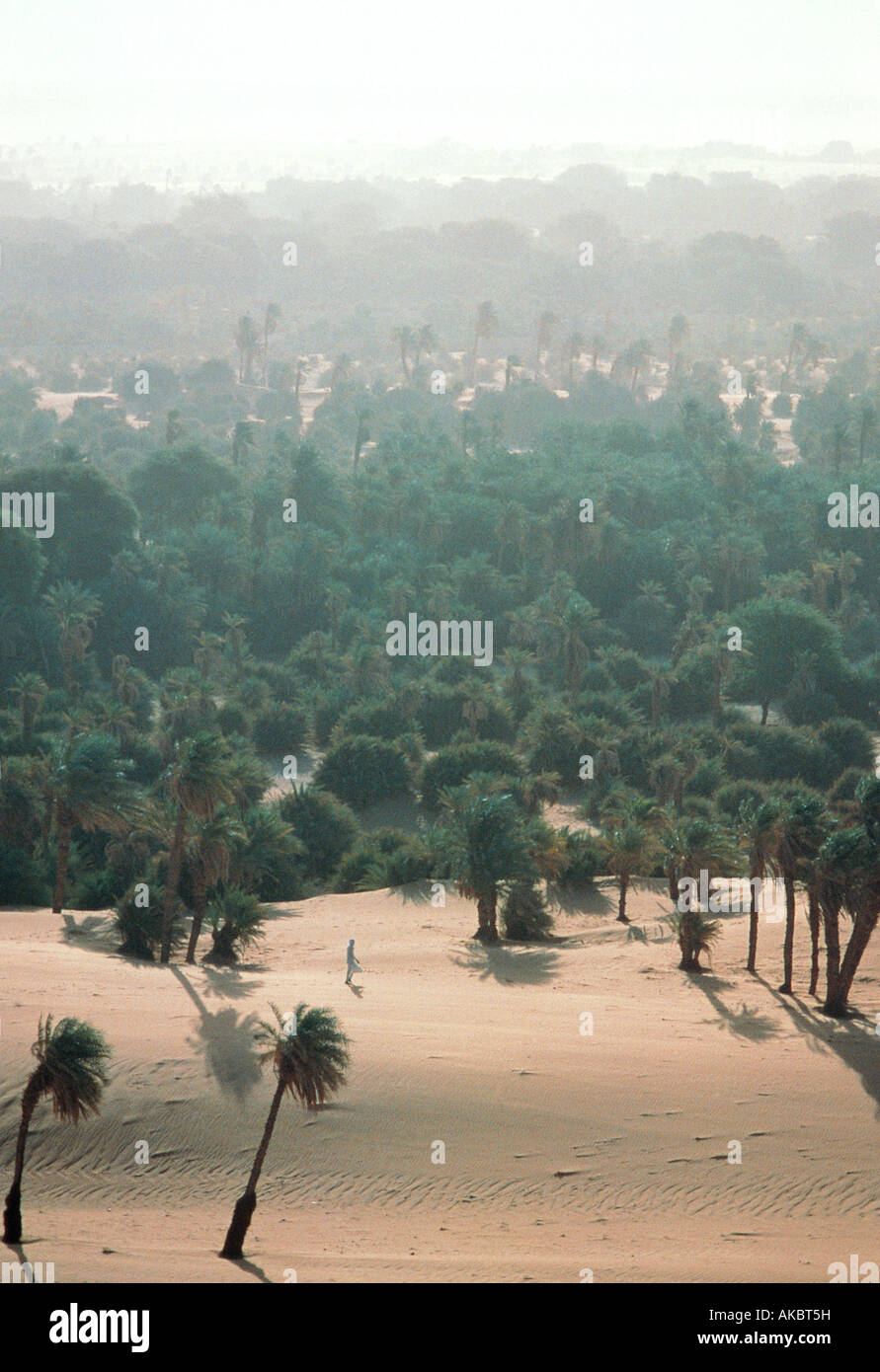 On oasis of date palm trees called Faya Largeau near Bardai in northern Chad Africa Stock Photo