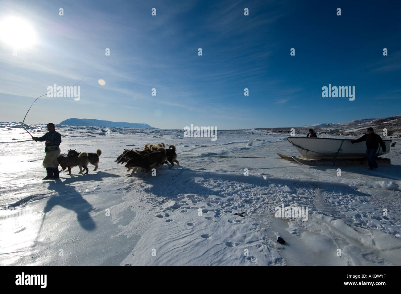 Qaanaaq Greenland  Gideon In spring Inuit hunters travel with a boat on sleds to launch when they reach the floe edge Stock Photo
